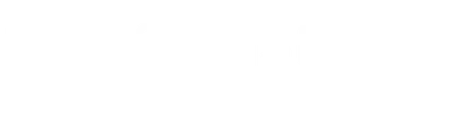 Skyn3twork Solutions